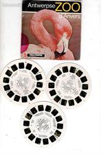 wiew master zoo d'Anvers, Enlèvement ou Envoi, Utilisé