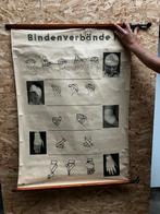 Vintage schoolplaat Bindenverbände verbanden wikkels, Antiek en Kunst, Ophalen of Verzenden, Natuur en Biologie