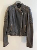 Harley Davidson Originele Lederen Damesvest + HD ondervest, Motoren, Ophalen, Jas | leer, Harley Davidson, Nieuw zonder kaartje