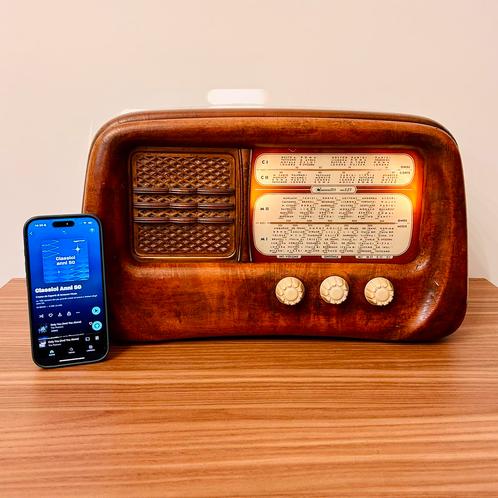 VINTAGE ITALIAANSE BUIZENRADIO DAMAITER M.821 1954 BLUETOOTH, Antiek en Kunst, Antiek | Tv's en Audio, Verzenden