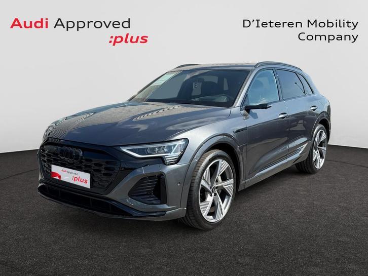 Audi Q8 e-tron Q8 e-Tron 106 kWh 55 Quattro S line, Auto's, Audi, Q8, ABS, Airbags, Cruise Control, Elektrische ramen, Navigatiesysteem