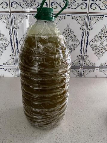 Huile d olive marocaine 5 litres 