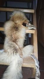 Echt vos, Hobby en Vrije tijd, Kostuums, Theaterbenodigdheden en LARP, Verzenden