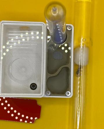 Lasius Niger koningin + 3D geprint nest set beschikbaar voor biedingen