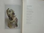Walter De Rycke en Karel Ringoet, Hommage aan Niger, 2005 As, Ophalen of Verzenden, Zo goed als nieuw, Beeldhouwkunst