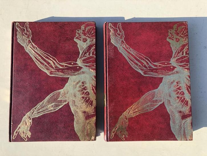 Lot de 2 livres " anatomie - santé ", Boeken, Studieboeken en Cursussen, Gelezen, Niet van toepassing, Alpha, Ophalen of Verzenden