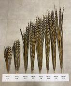 Koningsfazantveren 50-70-100-110-120-130-140-150 cm, Hobby en Vrije tijd, Feestartikelen, Ophalen of Verzenden, Nieuw, Overige typen