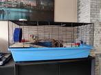 Hamster kooi met benodigdheden, Dieren en Toebehoren, Knaagdieren en Konijnen | Hokken en Kooien, Kooi, Gebruikt, Hamster, 75 tot 110 cm
