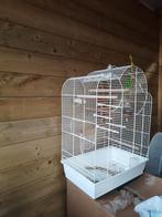 Vogelkooi diva merk, Dieren en Toebehoren, Vogels | Hokken en Kooien, Ophalen, Zo goed als nieuw, Vogelkooi