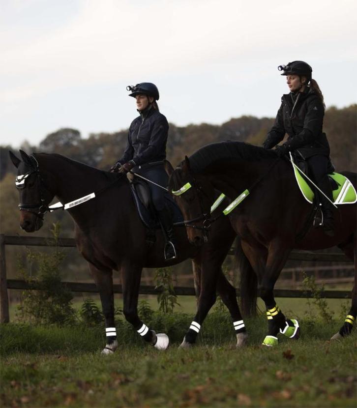 Fluo hoofdstelset Waldhausen, Dieren en Toebehoren, Paarden en Pony's | Hoofdstellen en Tuigage, Nieuw, Recreatie, Ophalen of Verzenden