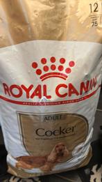 Royal canin cocker adult 12kg