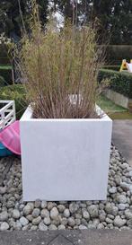 Design grote plantenbak - bloembak wit, Tuin en Terras, Bloembakken en Plantenbakken, Ophalen