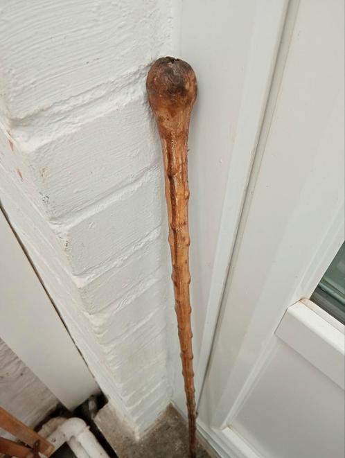 Eeuwenoude verdedigingszenuwstick, Diversen, Wandelstokken