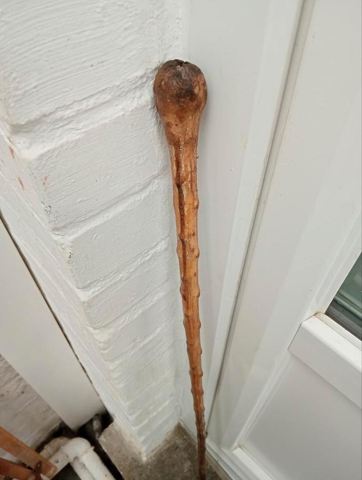 Ancienne canne en nerf . défensive, Divers, Bâtons de marche