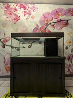 Aquarium 250 litres et matériel, Animaux & Accessoires, Enlèvement, Utilisé, Aquarium vide