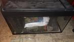 Aquarium 30 cm sur 80 cm, Enlèvement ou Envoi, Utilisé