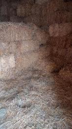 Stro in kleine botten, Dieren en Toebehoren, Paarden