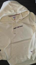 Hoodie Tommy jeans, Kleding | Dames, Truien en Vesten, Ophalen, Zo goed als nieuw, Maat 38/40 (M)