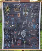 Schoolkaart Voortplanting van de den, Ophalen of Verzenden, Natuur en Biologie