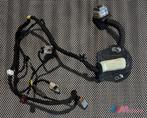 DODGE RAM 1500 BEDRADING DEUR LINKS ACHTER 7184-4230, Ophalen of Verzenden, Gebruikt, Dodge