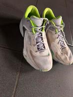 Basketschoenen greek freak, Sport en Fitness, Basketbal, Ophalen of Verzenden, Zo goed als nieuw