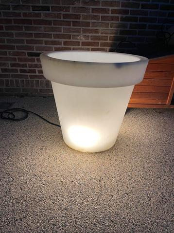 Bloempot met licht beschikbaar voor biedingen