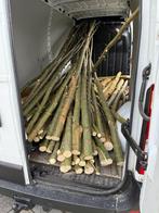 knotwilgen bomen   meer dan 3 meter lang, Tuin en Terras, Ophalen, Overige soorten, 250 tot 400 cm