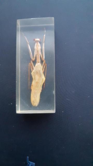 BIDSPRINKHAAN GEGOTEN IN POLYESTER  beschikbaar voor biedingen