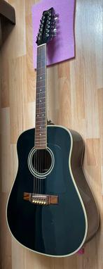 Guitare 12 corde Washburn, Muziek en Instrumenten, Snaarinstrumenten | Gitaren | Akoestisch, Ophalen, Zo goed als nieuw, 12-snarig