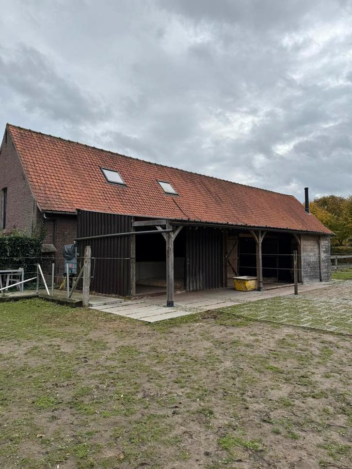 Weide met stalling te huur, Dieren en Toebehoren, Stalling en Weidegang, Stalling, Weidegang, 1 paard of pony