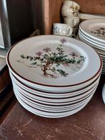 Assiettes à dessert Villeroy et Boch  Décor : Botanica, Enlèvement ou Envoi