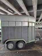 Paardentrailer Marco B rijbewijs, Dieren en Toebehoren, Ophalen