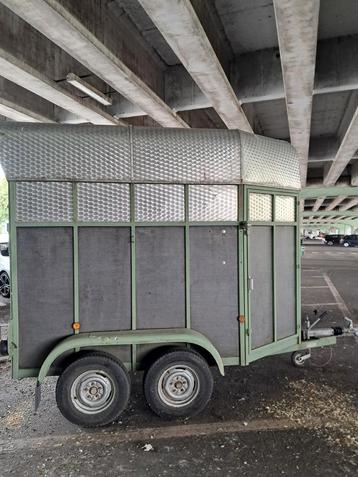 Paardentrailer Marco B rijbewijs  beschikbaar voor biedingen