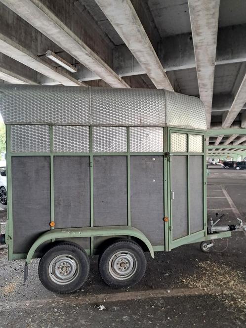 Paardentrailer Marco B rijbewijs, Dieren en Toebehoren, Paarden en Pony's | Trailers en Aanhangwagens, Ophalen