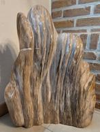 Versteend hout, Ophalen