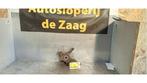 Fusee links-voor van een Nissan Micra, Ophalen of Verzenden, 3 maanden garantie, Gebruikt, Nissan
