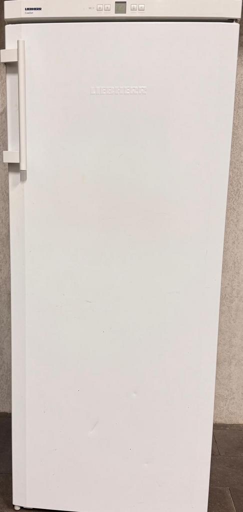 Liebherr koelkast en diepvries, Elektronische apparatuur, Vriezers en Diepvrieskisten, Zo goed als nieuw, Vrijstaand, Vrieskast