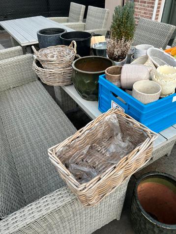 Prachtige grote/kleine bloempotten voor binnen en buiten beschikbaar voor biedingen