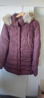 Bordeaux dameswinterjas met kap, Kleding | Dames, Jassen | Winter, Ophalen, Nieuw, Maat 46/48 (XL) of groter, Overige kleuren