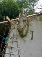 Muurophanging, Tuin en Terras, Tuinbeelden, Beton