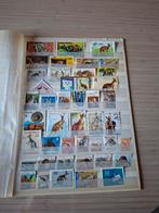 Postzegels kangoeroe, Ophalen