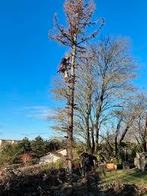 Elagage élagueur jardinier abattage d'arbres dangereux, Ophalen of Verzenden