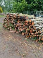 Brandhout wilg, Tuin en Terras, Brandhout, 3 tot 6 m³, Ophalen, Overige houtsoorten, Stammen