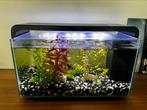 Aquarium Superfish 30L + complete set - instapklaar!, Dieren en Toebehoren, Ophalen, Zo goed als nieuw