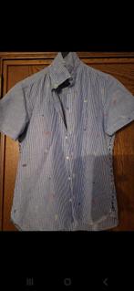 Overhemd met korte mouwen van New Zealand Auckland, Kleding | Heren, New Zealand Auckland, Blauw, Zo goed als nieuw, Halswijdte 39/40 (M)