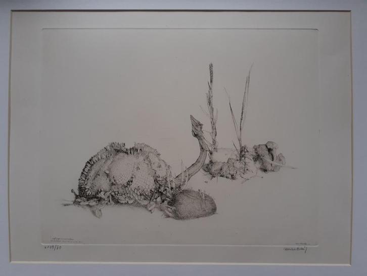 "Studieblad" - Renaat Veris, Antiek en Kunst, Kunst | Etsen en Gravures, Ophalen