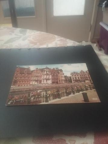 Postkaart koorlei beschikbaar voor biedingen