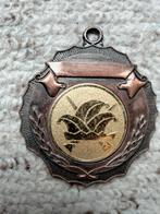 Medaille Aalst Carnaval 'Ajuin Fretters', Ophalen of Verzenden