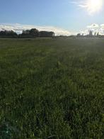 Weide voor paarden, Dieren en Toebehoren, Stalling en Weidegang, Weidegang, 4 paarden of pony's of meer