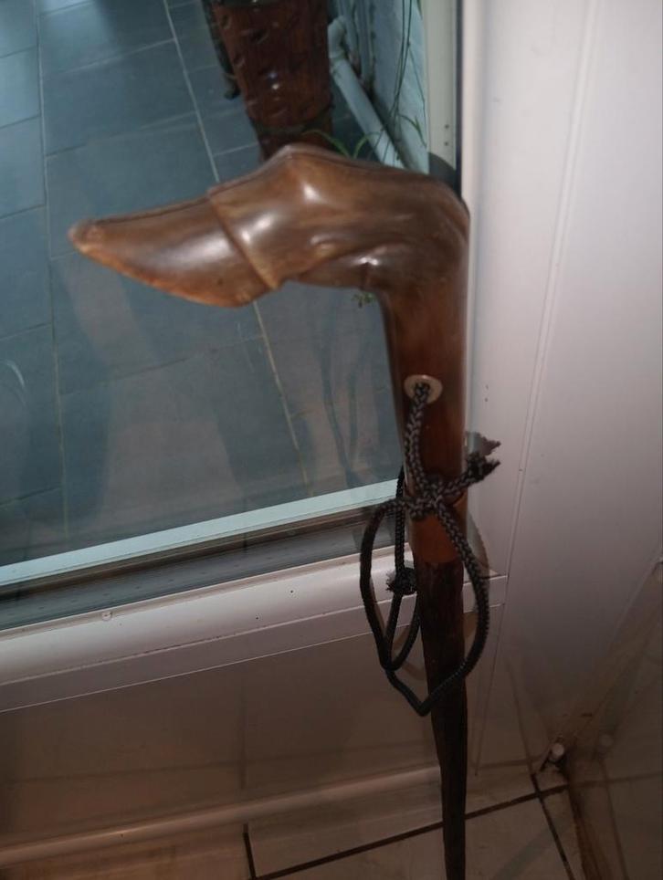 Riethoorn, Diversen, Wandelstokken, Ophalen of Verzenden